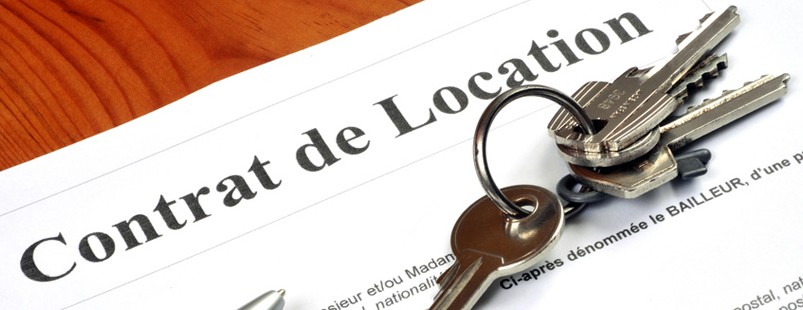 Bail de locatation ALUR